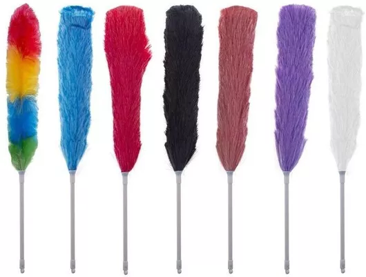 Αποκριάτικα Φτερά Πλάτης