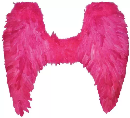 Αποκριάτικο Αξεσουάρ Ροζ με Θέμα Άγγελοι Δαίμονες