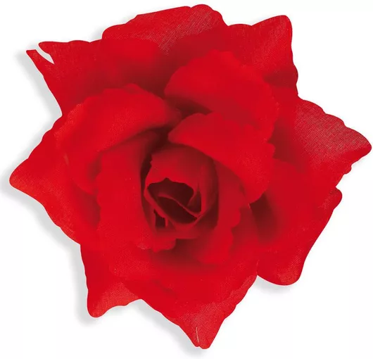 Αξεσουάρ Μαλλιών