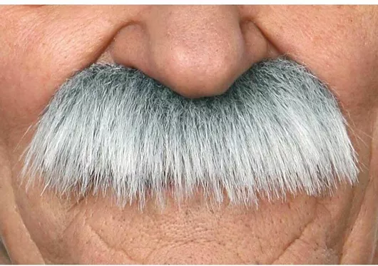 Μουστάκι / Γενειάδα για Απόκριες σε Γκρι χρώμα