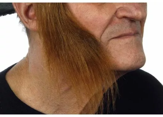 Μουστάκι / Γενειάδα για Απόκριες σε Καφέ χρώμα