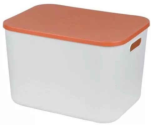 Παιδικό Κουτί Αποθήκευσης 36x25.5x24cm από Πλαστικό Πορτοκαλί