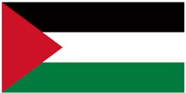 Σημαία Παλαιστίνης 25x18cm