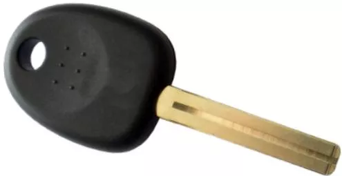 Κλειδί Αυτοκινήτου με Immobilizer για