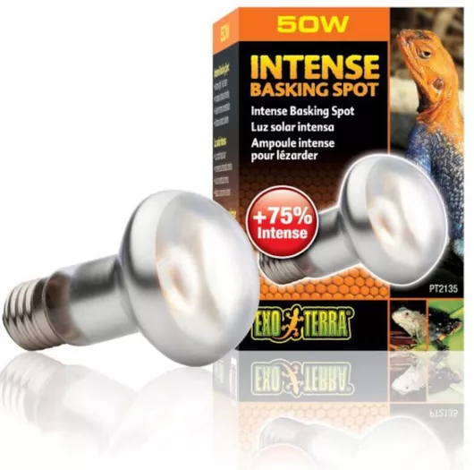 Λάμπα Ενυδρείου Ερπετών Exo Terra Intense Basking Spot 100w 