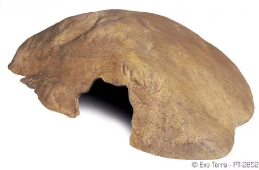 Διακοσμητικό Ενυδρείου Ερπετών Exo Terra