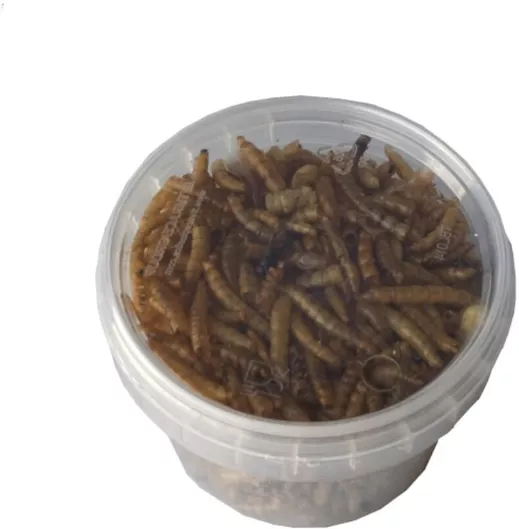 Τροφή Ερπετού Αποξηραμένα Aλευροσκούληκα Ερπετών 10630100 20gr