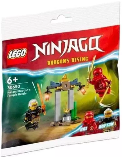Τουβλάκι Lego Ninjago