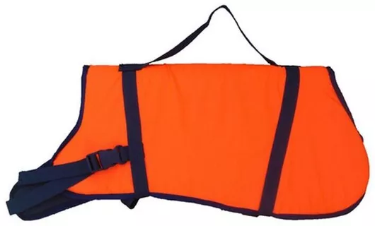 Σωσίβιο Σκύλου