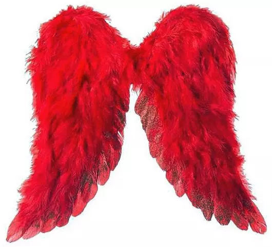 Αποκριάτικα Φτερά Πλάτης Κόκκινα