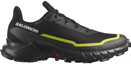 Salomon Alphacross 5 Gtx Trail Running Αδιάβροχα με Μεμβράνη Gore-Tex Black / Peat / Sulphur Spring