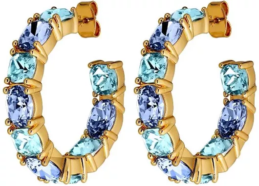 Σκουλαρίκια Dyrberg/Kern Κρίκοι  Ατσάλι Επιχρυσωμένα με Πέτρες