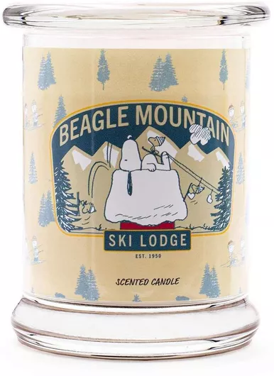 Αρωματικό Κερί Peanuts Snoopy and Woodstock Beagle Mountain σε Βάζο 250gr