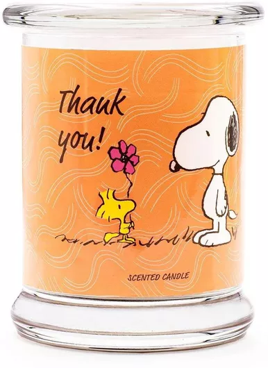 Αρωματικό Κερί Peanuts Snoopy and Woodstock Thank You σε Βάζο 250gr