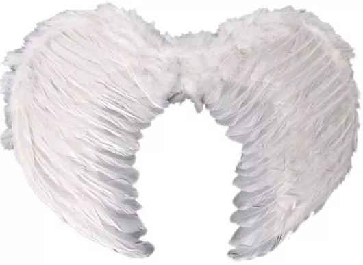 Αποκριάτικα Φτερά Πλάτης Λευκά