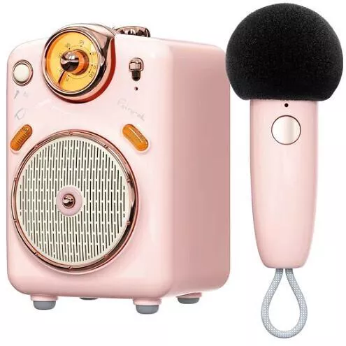 Divoom Ασύρματο Μικρόφωνο Karaoke Ροζ