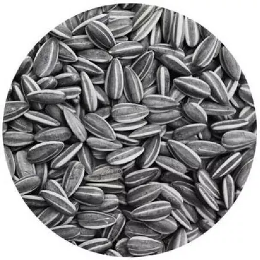 Τροφές Harmony για Παπαγαλάκια 20kg