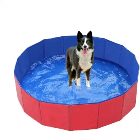 Πισίνα Σκύλου Animal Κόκκινη 120cm