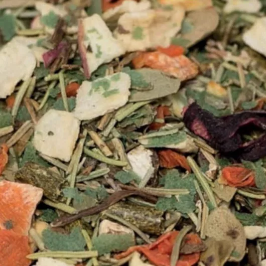 Τροφή Ερπετού Χελώνα 12311500 500gr