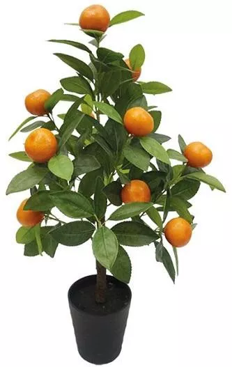 ΠΟΡΤΟΚΑΛΙΑ ΜΕΡΛΙΝ ΣΕ ΓΛΑΣΤΡΑ 12 ΛΙΤΡΩΝ ΝΑΝΟ