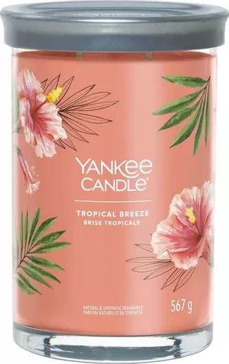 Αρωματικό Κερί Yankee Candle Signature Tropical Breeze σε Βάζο 567gr