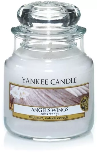 Αρωματικό Κερί Yankee Candle σε Βάζο 104gr