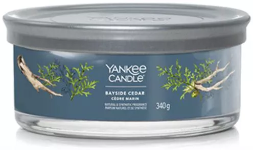 Yankee Candle Διακοσμητικό Κερί Bayside Cedar Signature Tumbler 340gr
