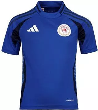 140 Παιδική Φανέλα Ποδοσφαίρου Adidas Ολυμπιακός Τρίτη Εμφάνιση 24-25