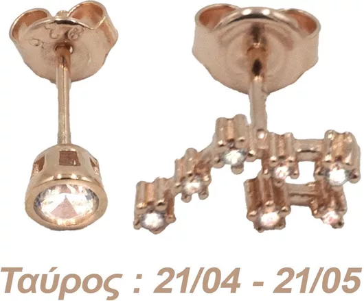 Σκουλαρίκια Αυτιού Ασημένια με Επιχρύσωμα & Ζιργκόν - AG2