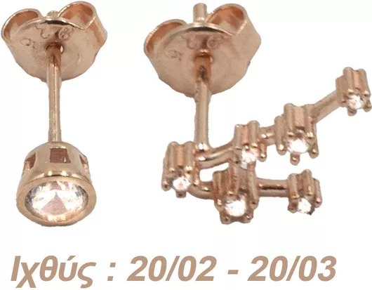 Σκουλαρίκια Αυτιού Ασημένια με Επιχρύσωμα & Ζιργκόν - AG12