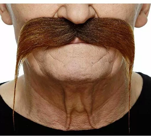 Αποκριάτικο Μουστάκι My Other Me S8608169 Καφέ