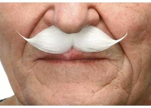 Αποκριάτικο Μουστάκι My Other Me S8606824 Λευκό