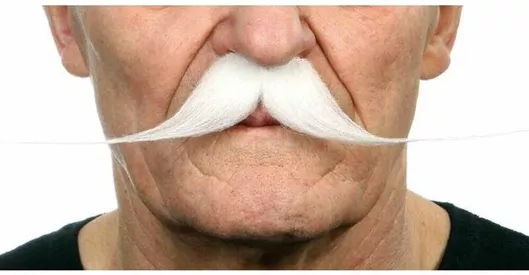 Αποκριάτικο Μουστάκι My Other Me S8608152 Λευκό