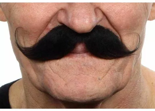 Αποκριάτικο Μουστάκι My Other Me S8608154 Μαύρο