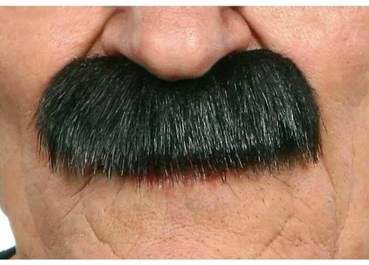 Αποκριάτικο Μουστάκι My Other Me S8606845 Γκρι