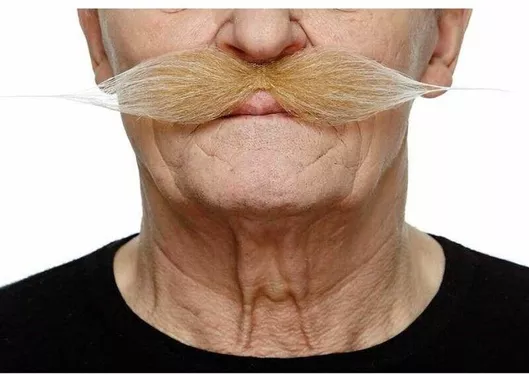 Αποκριάτικο Μουστάκι My Other Me S2418536 Ξανθό