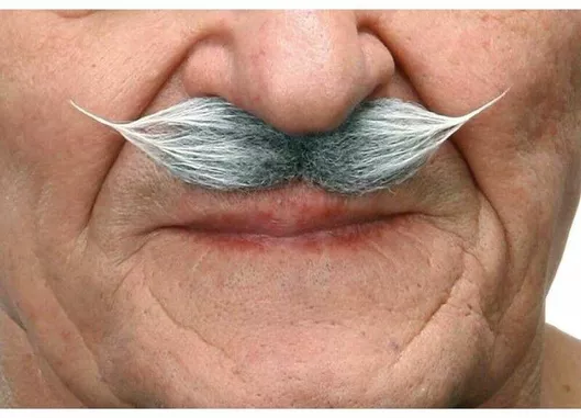 Αποκριάτικο Μουστάκι My Other Me S2418502 Γκρι/Λευκό