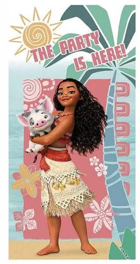 Αφίσα για Party Moana