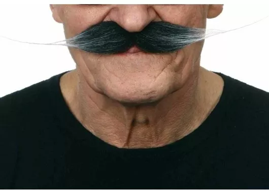 Μουστάκι / Γενειάδα για Απόκριες σε Γκρι χρώμα