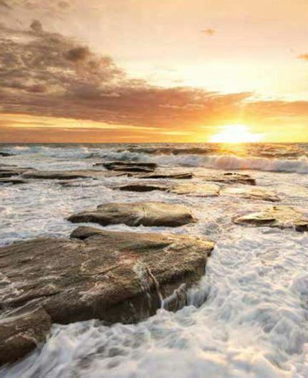 Ρόλερ Σκίασης Anartisi Ε474 46227 Μερικής Συσκότισης Ψηφιακής Εκτύπωσης 180x240cm