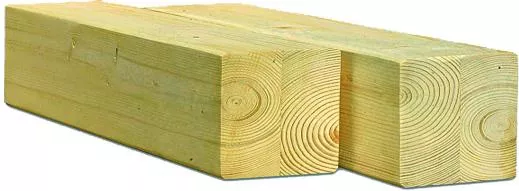 Κολώνα για Περίφραξη SHOWOOD Κήπου από Ξύλο 200x10x10cm