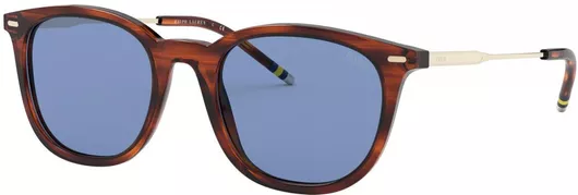 Γυαλιά Ηλίου Unisex Polo Ralph Lauren Ph 4164 500772 51 Standard με Κοκκάλινο Σκελετό Καφέ