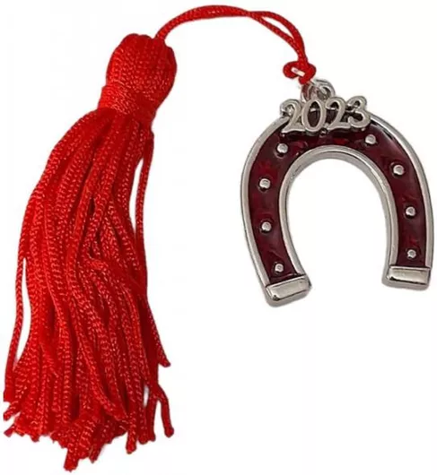 Γούρι 2023 Kalliopi Silver 2023-4119 με Φούντα & Πέταλο Μπορντο Ασημί 3.5x2.7cm