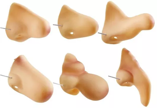 Αποκριάτικη Μύτη Widmann Σετ 1τμχ Τυχαίας Επιλογής Σχεδίου