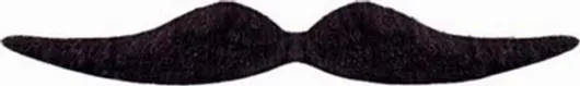 Αποκριάτικο Μουστάκι Widmann Dali Μαύρο