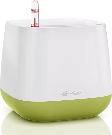 Κασπώ Lechuza Yula Λευκό