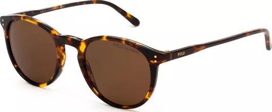 Γυαλί Ηλίου Ralph Lauren Ανδρικά με Καφέ Ταρταρούγα Κοκκάλινο Σκελετό PH4110 513483