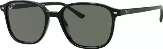 Γυαλί Ηλίου Ray Ban Leonard με Μαύρο Κοκκάλινο Σκελετό & Πράσινο Polarized Φακό RB2193 901/58