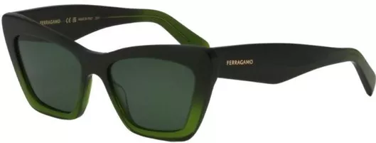 Γυναικεία Γυαλιά Ηλίου Salvatore Ferragamo Cat Eye 55mm με Γκρι Φακό & Πράσινο Σκελετό