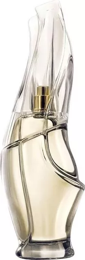 Γυναικείο Άρωμα DKNY Cashmere Mist Eau de Parfum 100ml